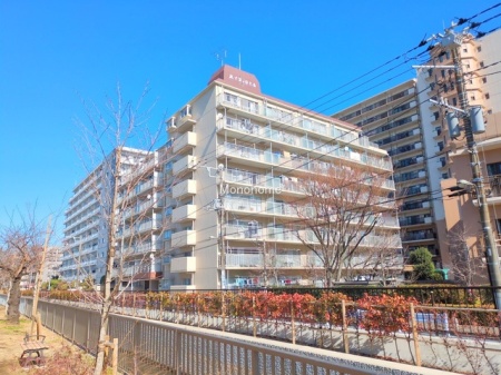 ハイラーク大島